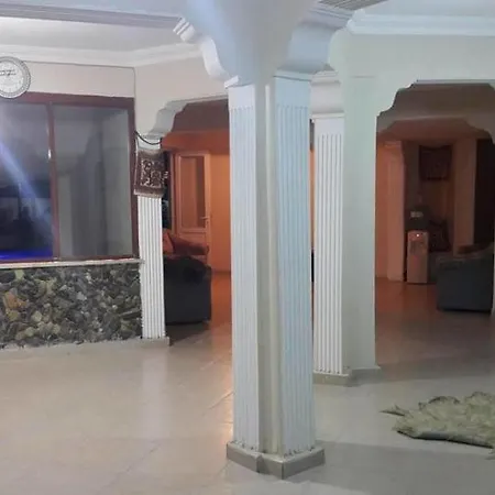 Dolphin Yunus Pamukkale