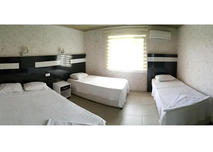 Dolphin Yunus מלון