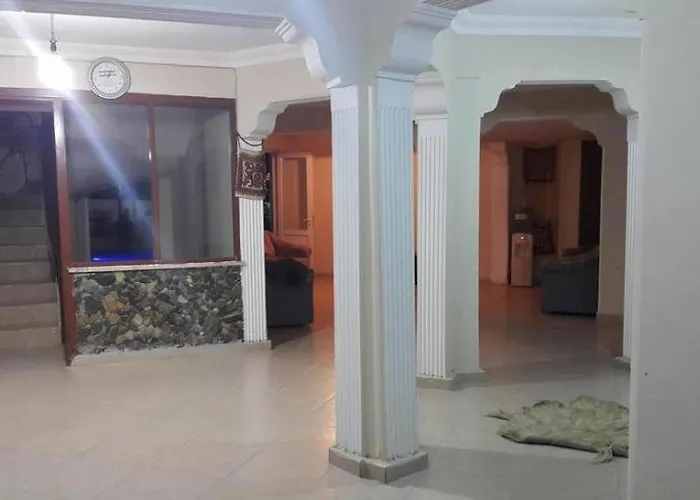 Dolphin Yunus 帕莫卡莱